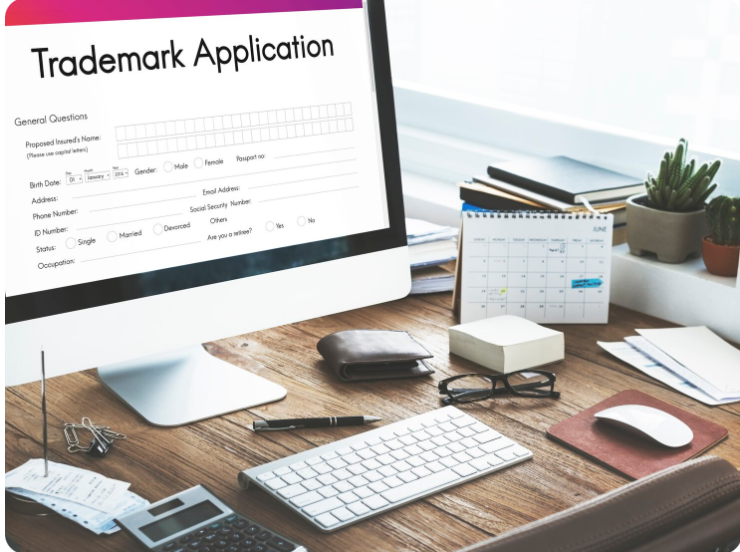 Free Zone Trade License